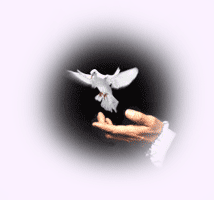 Bonjour  tout le monde...